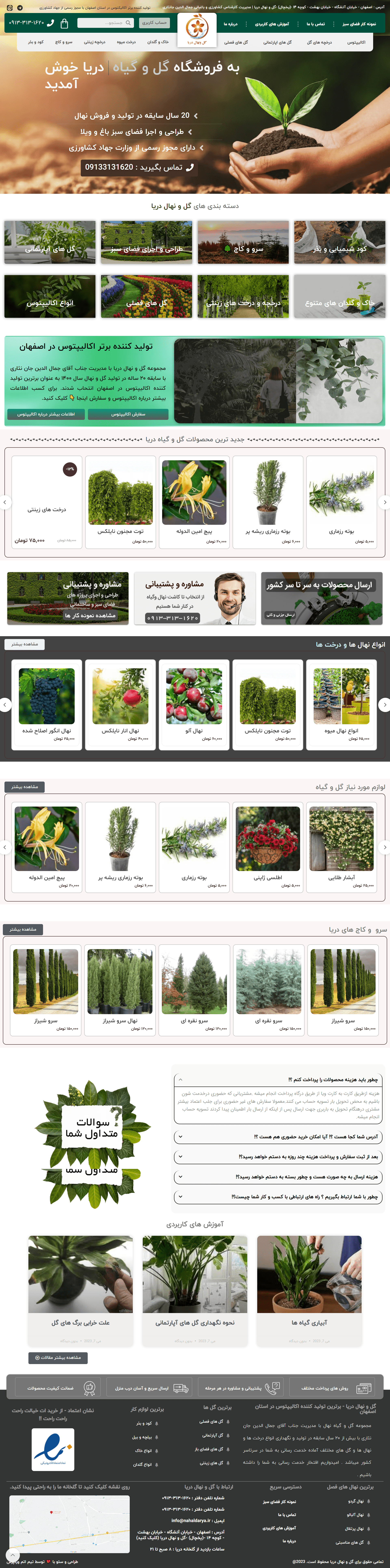 طراحی سایت فروشگاهی گل و گیاه نهال